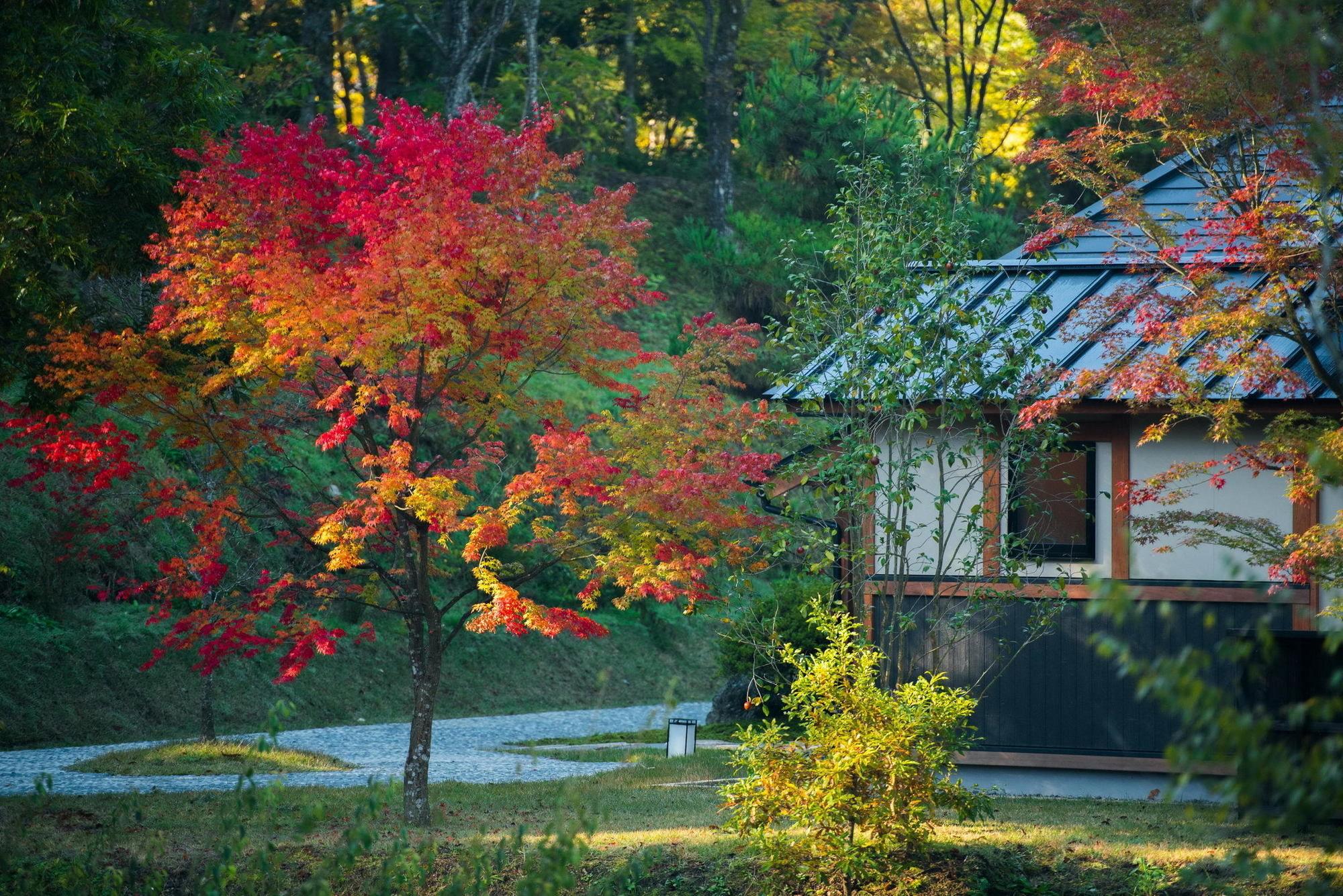 Miyama Sansou Hotel Minamioguni Eksteriør billede